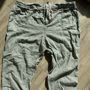 Anthropologie A+ Plus Size Pant 2X
